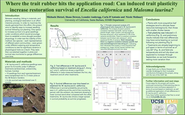 Michaele's ESA poster