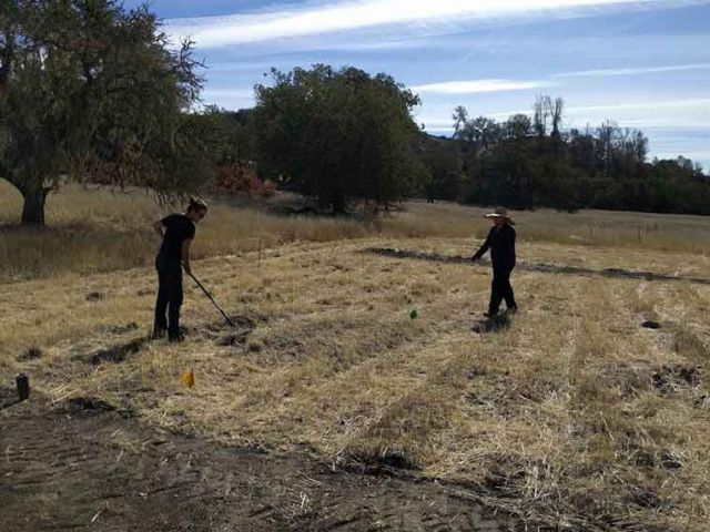 Photo of Sedgwick Reserve.