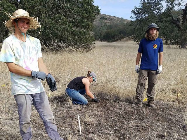 Field work at Sedgwick Reserve. Photo credit Maddie Nolan.