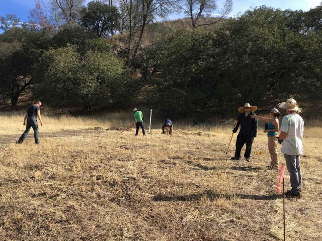 Field work at Sedgwick Reserve. Photo credit Maddie Nolan.