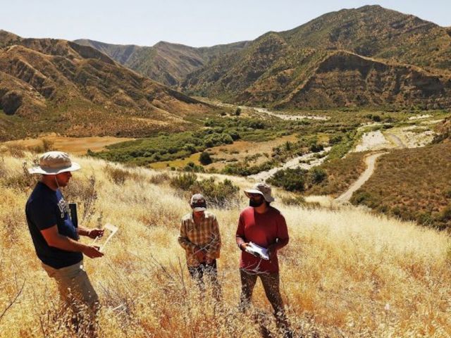 UCSB and UCR researchers checking a restoration site at Piru, CA in the LPNF. Photo credit: Al Seib (Los Angeles Times)