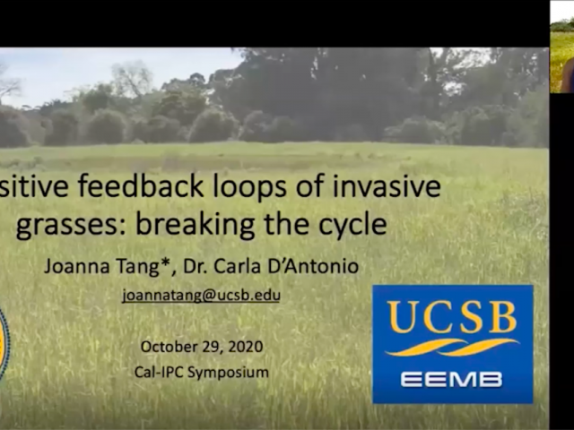 Joanna presenting her title slide on Zoom