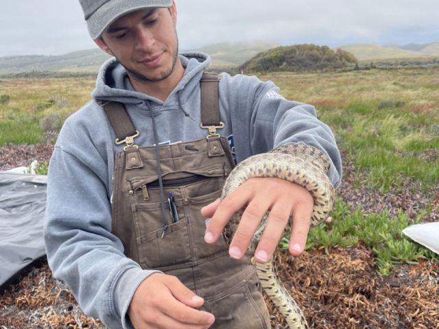 Nick with gopher snake