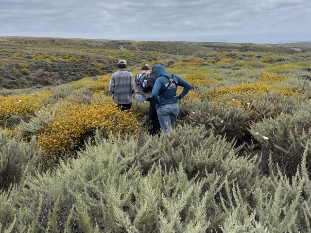 Undergraduate volunteers completing a bird survey Photo credit: Nick Saglimbeni