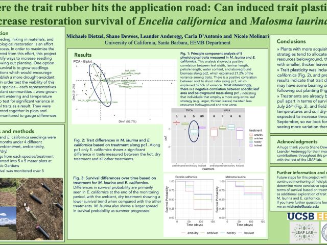 Michaele's ESA poster